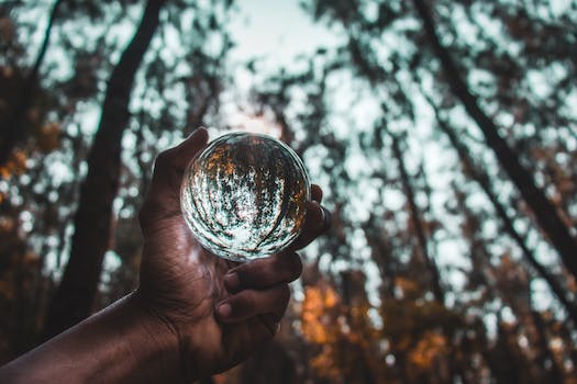 From below of crop anonymous person holding transparent glass ball reflecting autumn trees in forest