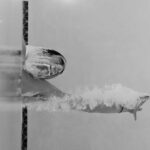 Person Swimming at the Pool in Grayscale Photo