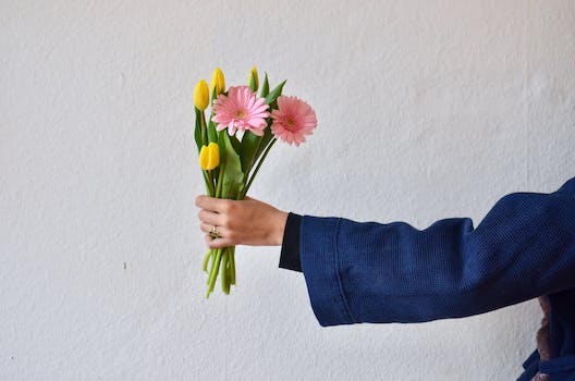 Unrecognizable person wearing blue jacket demonstrating bouquet of yellow tulips and pink gerberas in hand on white background during holiday