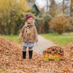 Free stock photo of autumn, autumn leaves, bonnet