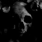Close-up Photo of Skull